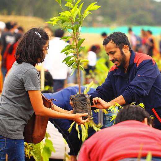 Boomforest intro d81943e69214227ba85791551a997fdc7eafb3b0258eda9e410a916bd6699f55