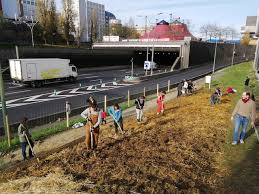 Téléchargement (1)